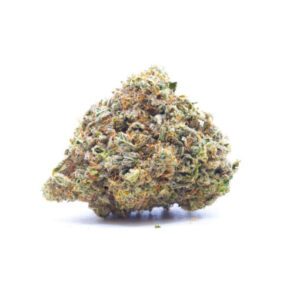 Oz – Alien Dawg