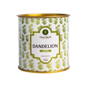 One Herb - Dandelion Leaves